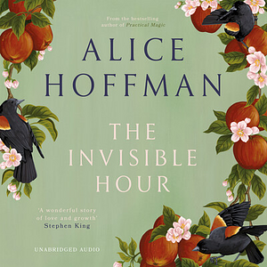 The Invisible Hour by Alice Hoffman