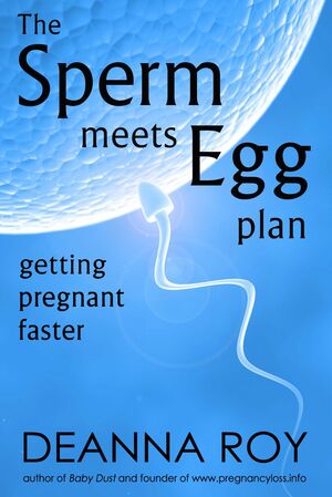 The Sperm Meets Egg Plan: Getting Pregnant Faster by Deanna Roy