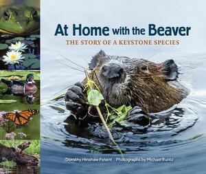 At Home with the Beaver: The Story of a Keystone Species by Dorothy Hinshaw Patent