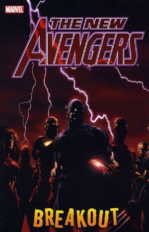 The New Avengers, Vol. 1: Breakout by Brian Michael Bendis, Danny Miki, David Finch