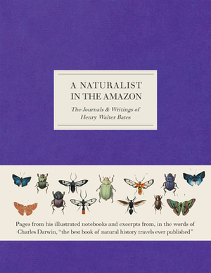 A Naturalist in the Amazon: The Journals & Writings of Henry Walter Bates by Henry Walter Bates