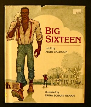 Big Sixteen by Mary Calhoun