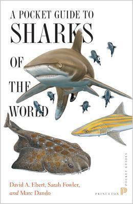 A Pocket Guide to Sharks of the World: Second Edition by Sarah Fowler, David A. Ebert