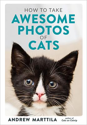 How to Take Awesome Photos of Cats by Andrew Marttila