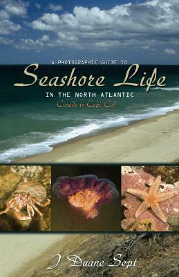 A Photographic Guide to Seashore Life in the North Atlantic: Canada to Cape Cod by J. Duane Sept