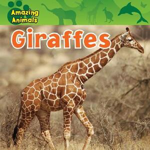 Giraffes by Sarah Albee