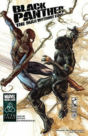 Black Panther: The Man Without Fear #516 by Simone Bianchi, David Aja, David Liss, Jefte Palo