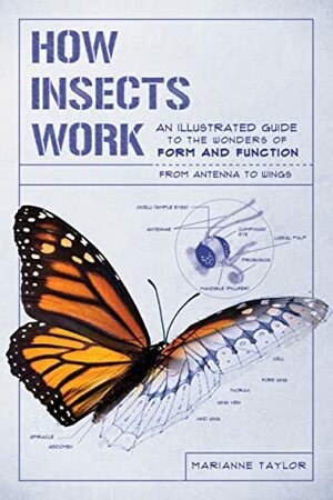 How Insects Work: An Illustrated Guide to the Wonders of Form and Function—from Antenna to Wings by Marianne Taylor