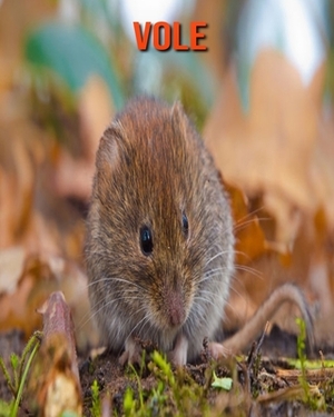 Vole: Learn About Vole and Enjoy Colorful Pictures by Matilda Leo