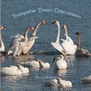 Trumpeter Swan Discussion by Marian Brickner