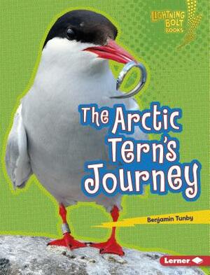 The Arctic Tern's Journey by Benjamin Tunby