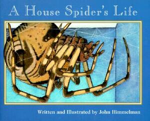 A House Spider's Life (Nature Upclose) by John Himmelman