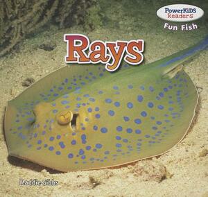 Rays by Maddie Gibbs