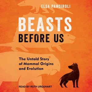 Beasts Before Us: The Untold Story of Mammal Origins and Evolution by Elsa Panciroli