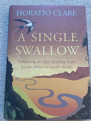 A Single Swallow: Following An Epic Journey From South Africa To South Wales by Horatio Clare