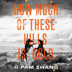 How Much of These Hills Is Gold by C Pam Zhang