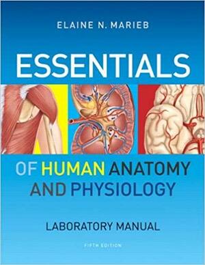 Essentials of Human Anatomy & Physiology Laboratory Manual by Elaine N. Marieb