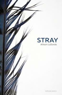 Stray by Allison Lasorda