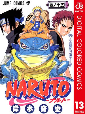 NARUTO―ナルト― カラー版 13 by 岸本 斉史, Masashi Kishimoto