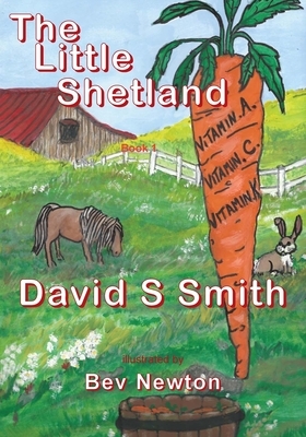 The Little Shetland; Book 1 by David S. Smith