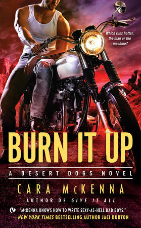 Burn It Up by Cara McKenna