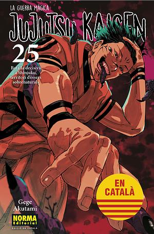 JUJUTSU KAISEN 25 by Gege Akutami