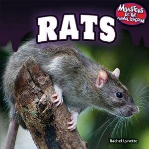 Rats by Rachel Lynette