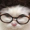 helmi11287's profile picture