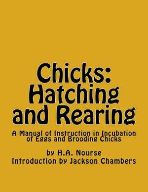 Chicks: Hatching and Rearing: A Manual of Instruction in Incubation of Eggs and Brooding Chicks by H. a. Nourse