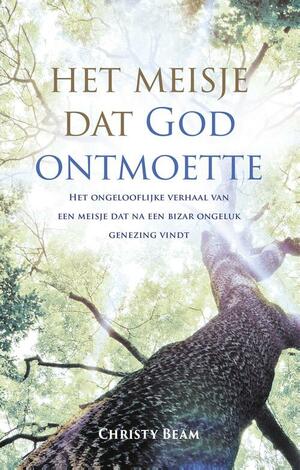 Het meisje dat God ontmoette by Christy Wilson Beam