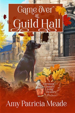 Game Over at Guild Hall by Amy Patricia Meade