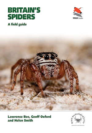 Britain's Spiders: A Field Guide by Lawrence Bee