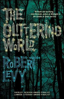 The Glittering World: A Book Club Recommendation! by Robert Levy