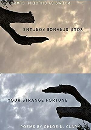 Your Strange Fortune by Chloe N. Clark