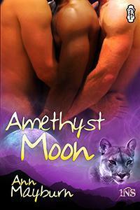 Amethyst Moon by Ann Mayburn