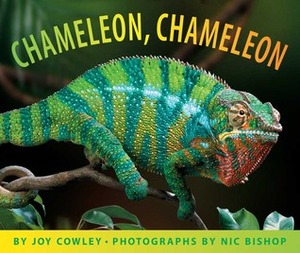 Chameleon, Chameleon by Nic Bishop, Joy Cowley