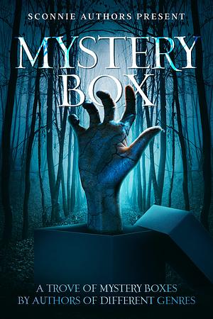 Mystery Box: Sconnie Authors' Present by Damien Hanson
