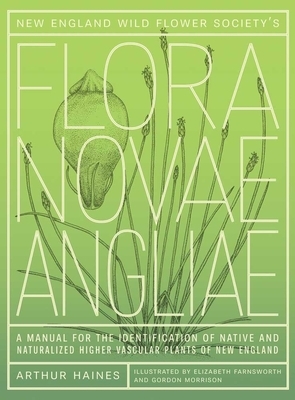 New England Wild Flower Society's Flora Novae Angliae: A Manual for the Identification of Native and Naturalized Higher Vascular Plants of New England by Arthur Haines