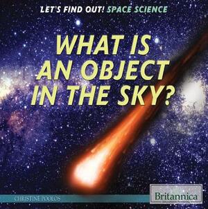What Is an Object in the Sky? by Christine Poolos