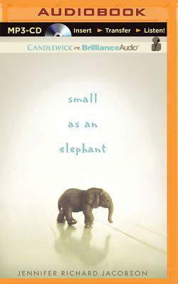 Small as an Elephant by Jennifer Richard Jacobson