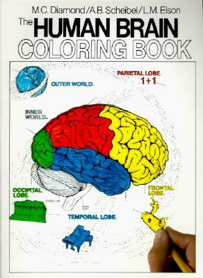 The Human Brain Coloring Book by Arnold B. Scheibel, Marian C. Diamond