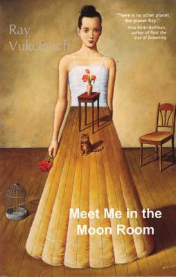 Meet Me in the Moon Room: Stories by Ray Vukcevich