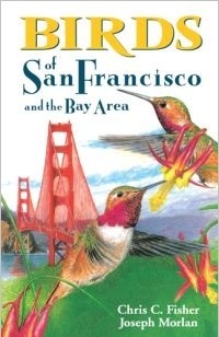 Birds of San Francisco and the Bay Area by Joseph Morlan, Chris Fisher