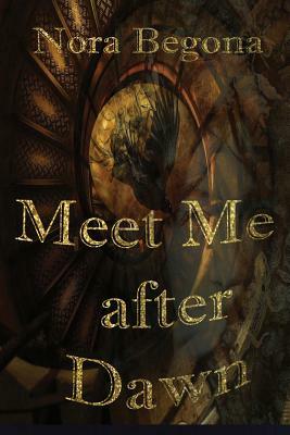 Meet me after Dawn: When desire is too strong by Nora Begona, Patricia Begona