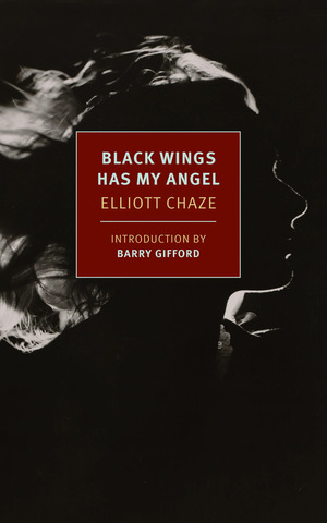 Black Wings Has My Angel by Elliott Chaze