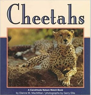 Cheetahs by Dianne M. MacMillan