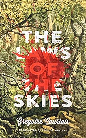 The Laws of the Skies by Grégoire Courtois