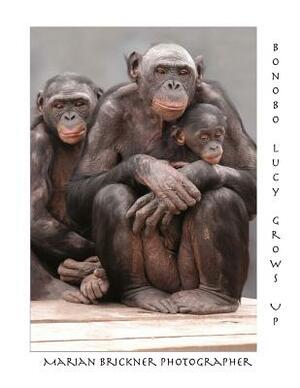 Bonobo Lucy Grows Up by Marian Brickner