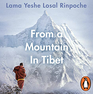 From a Mountain In Tibet: A Monk's Journey by Yeshe Losal Rinpoche