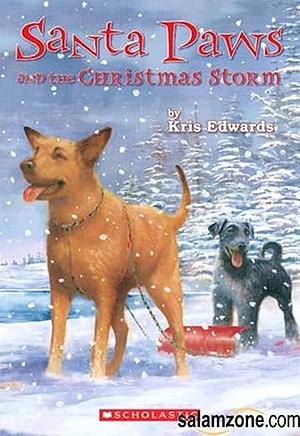 Santa Paws and the Christmas Storm by Kris Edwards